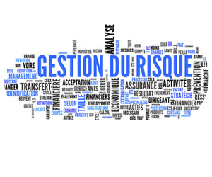 Gestion des risques d'entreprise