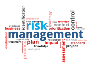 Enterprise Risk Management